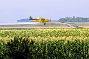 87192 510th St, Buffalo Lake, MN 55314 - Photo 6