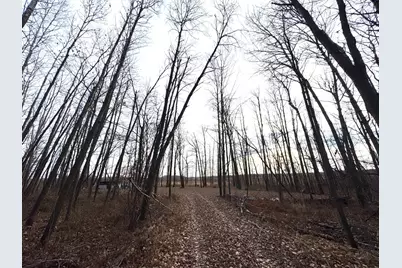 Xxxx Sherwood Street, Brook Park, MN 55007 - Photo 2