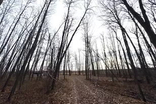 Xxxx Sherwood St, Brook Park, MN 55007 - Photo 2