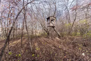 25838 230th Ave, Fergus Falls, MN 56537 - Photo 68