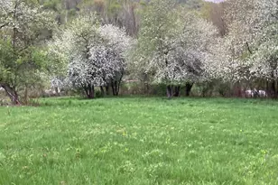 36415 Homer Valley Ln, Winona, MN 55987 - Photo 68