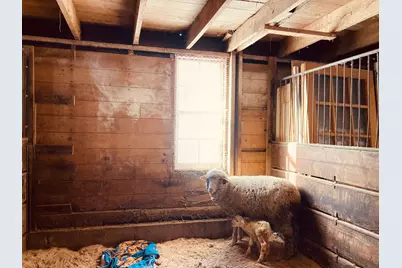 36415 Homer Valley Lane, Winona, MN 55987 - Photo 78