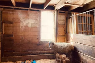 36415 Homer Valley Ln, Winona, MN 55987 - Photo 78