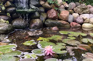 36415 Homer Valley Ln, Winona, MN 55987 - Photo 86