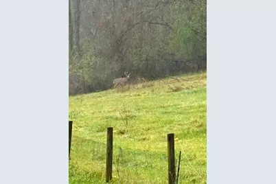 36415 Homer Valley Lane, Winona, MN 55987 - Photo 90