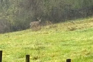 36415 Homer Valley Ln, Winona, MN 55987 - Photo 90