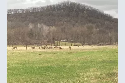 36415 Homer Valley Lane, Winona, MN 55987 - Photo 88