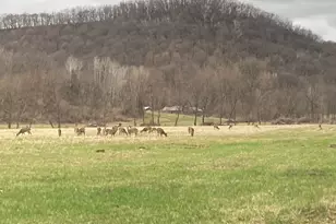 36415 Homer Valley Ln, Winona, MN 55987 - Photo 88