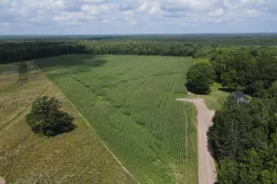 Tbd Schalk Rd, Ogema, WI 54459 - Photo 1