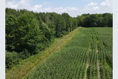 Tbd Schalk Road, Ogema, WI 54459 - Photo 4