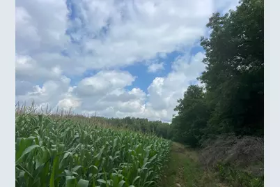 Tbd Schalk Road, Ogema, WI 54459 - Photo 18