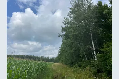 Tbd Schalk Road, Ogema, WI 54459 - Photo 10