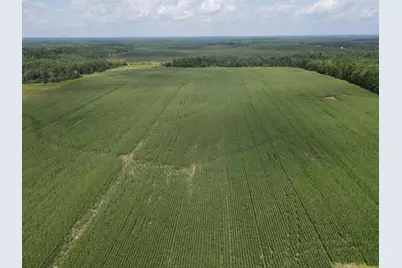 67Tbd County Road M, Ogema, WI 54459 - Photo 14