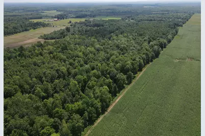 Tbd County Road M, Ogema, WI 54459 - Photo 34