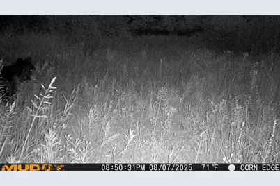 Tbd County Road M, Ogema, WI 54459 - Photo 30