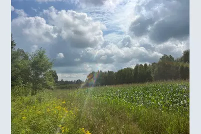 Tbd County Road M, Ogema, WI 54459 - Photo 14