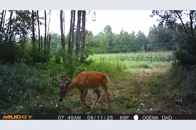 Tbd County Road M, Ogema, WI 54459 - Photo 22