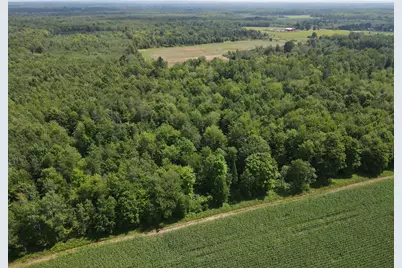 Tbd County Road M, Ogema, WI 54459 - Photo 6