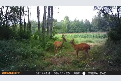 Tbd County Road M, Ogema, WI 54459 - Photo 20