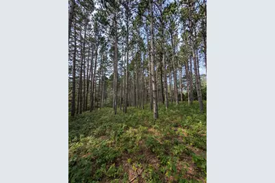 Xxxx Joplin Street NW, Elk River, MN 55330 - Photo 8