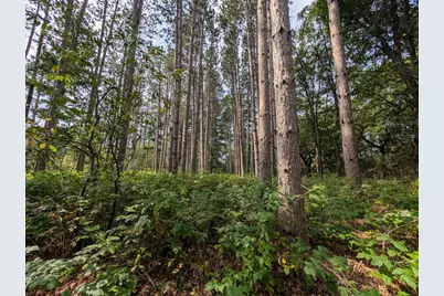 Xxxx Joplin Street NW, Elk River, MN 55330 - Photo 26