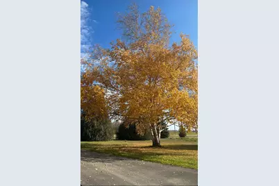 19945 195th Avenue, Glenwood, MN 56334 - Photo 28