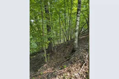 Xxxx Joplin Street NW, Elk River, MN 55330 - Photo 12