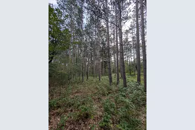 Xxxx 217 Avenue NW, Elk River, MN 55330 - Photo 18