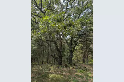 Xxxx 217 Avenue NW, Elk River, MN 55330 - Photo 26