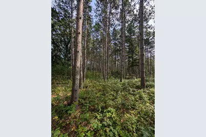 Xxxx 217 Avenue NW, Elk River, MN 55330 - Photo 22