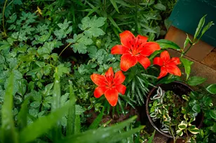 39437 Co Rd 3, Crosslake, MN 56442 - Photo 54