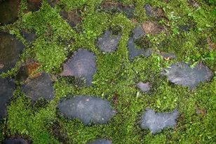 39437 Co Rd 3, Crosslake, MN 56442 - Photo 42