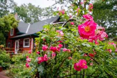 39437 County Road 3, Crosslake, MN 56442 - Photo 44