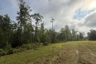 45021 County 3, Becida, MN 56678 - Photo 52