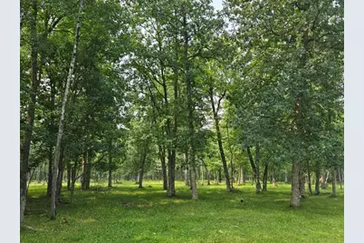 Tbd State 87 SW, Backus, MN 56435 - Photo 4