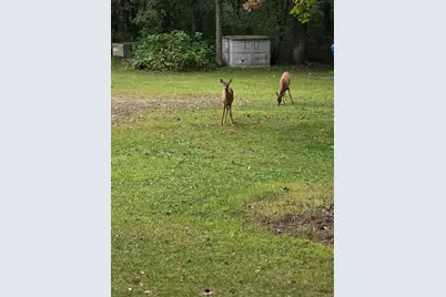 2894 115th Avenue, Princeton, MN 55371 - Photo 66