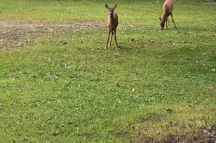 2894 115th Ave, Princeton, MN 55371 - Photo 66