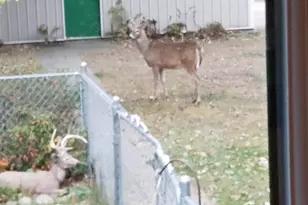 2894 115th Ave, Princeton, MN 55371 - Photo 68