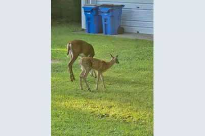 2894 115th Avenue, Princeton, MN 55371 - Photo 70