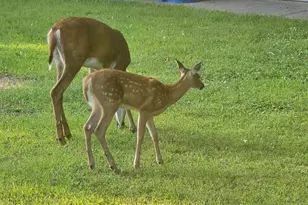 2894 115th Ave, Princeton, MN 55371 - Photo 70