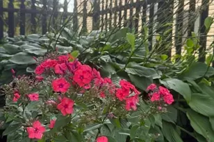 310 Erickson Street S, Houston, MN 55943 - Photo 30