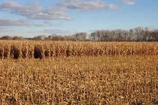 754 190th St, Baldwin, WI 54002 - Photo 10