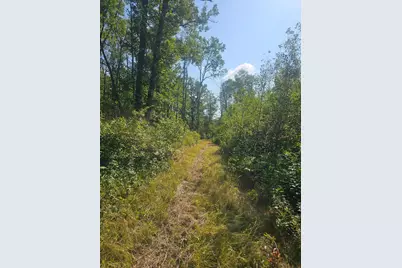 000 Highway 65, Mcgrath, MN 56342 - Photo 1