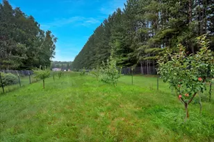 18300 672nd Ln, Jacobson, MN 55752 - Photo 36