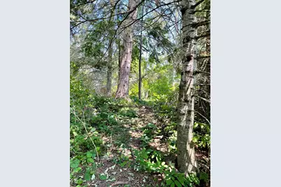 Tbd US Hwy 2, Bagley, MN 56621 - Photo 62