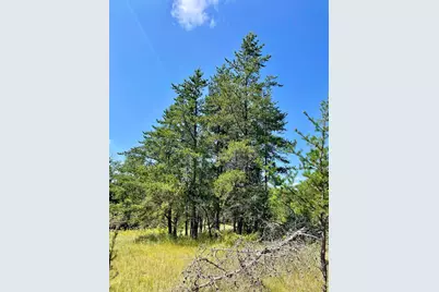 Tbd US Hwy 2, Bagley, MN 56621 - Photo 88