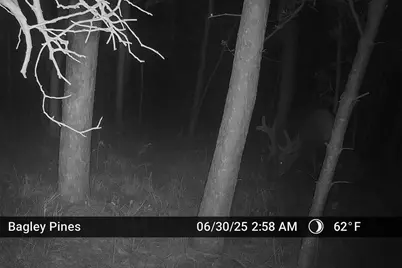 Tbd US Hwy 2, Bagley, MN 56621 - Photo 16