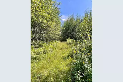 Tbd US Hwy 2, Bagley, MN 56621 - Photo 76