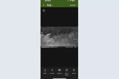 Tbd US Hwy 2, Bagley, MN 56621 - Photo 14