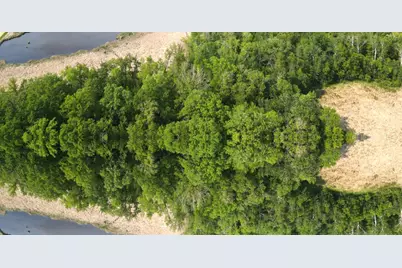 Parcel Tbd 250th Street, Mahnomen, MN 56557 - Photo 1